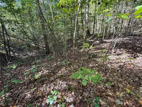Layman Rd, Vincent, OH 45784 photo 32