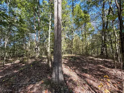 Layman Rd, Vincent, OH 45784 photo 39