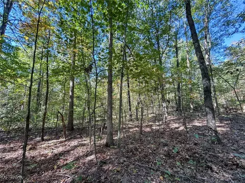Layman Rd, Vincent, OH 45784 photo 22