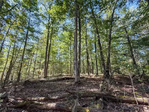 Layman Rd, Vincent, OH 45784 photo 40
