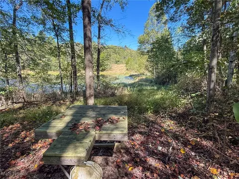 Layman Rd, Vincent, OH 45784 photo 47
