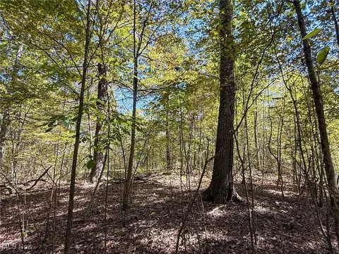 Layman Rd, Vincent, OH 45784 photo 45