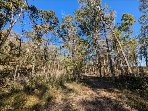 Hibbetts Mill Road, Wellsville, OH 43968