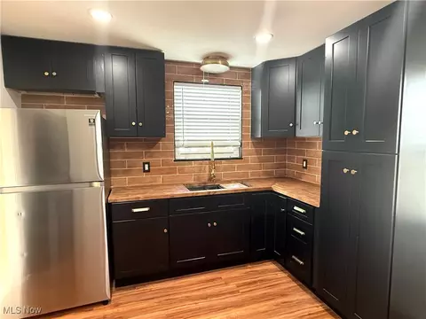 315 E 232nd St, Euclid, OH 44123 photo 5