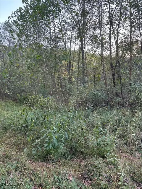 0 Lickskillet Road Rd, Woodsfield, OH 43793