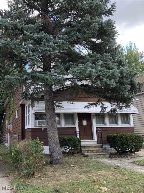 1261 E 167th St, Cleveland, OH 44110