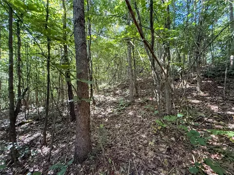 Mudsoc Rd, Patriot, OH 45658