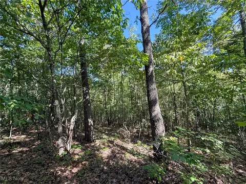 Mudsoc Rd, Patriot, OH 45658