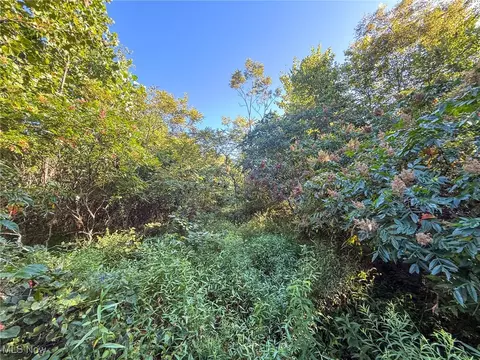 Mudsoc Rd, Patriot, OH 45658
