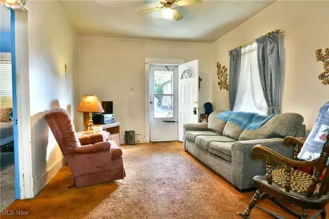 227 Maplewood Ave, Struthers, OH 44471 photo 17