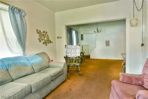 227 Maplewood Ave, Struthers, OH 44471 photo 16