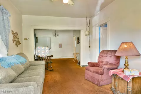 227 Maplewood Ave, Struthers, OH 44471 photo 14