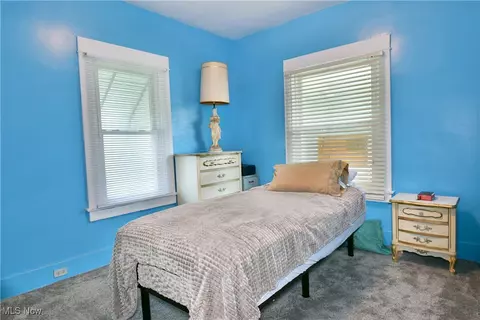 227 Maplewood Ave, Struthers, OH 44471 photo 24