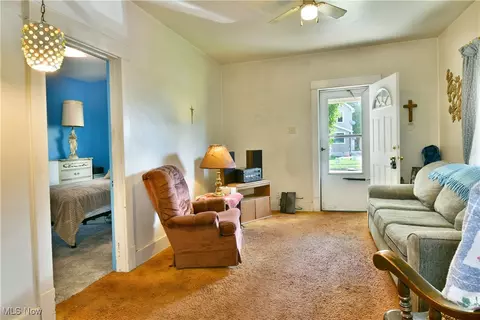 227 Maplewood Ave, Struthers, OH 44471 photo 18