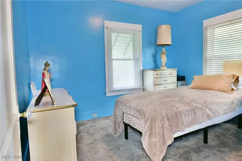 227 Maplewood Ave, Struthers, OH 44471 photo 23
