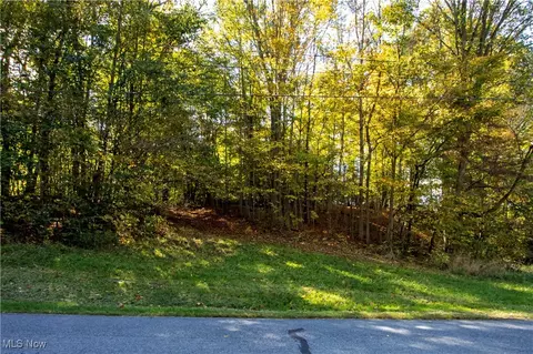 Repp Road, West Salem, OH 44287