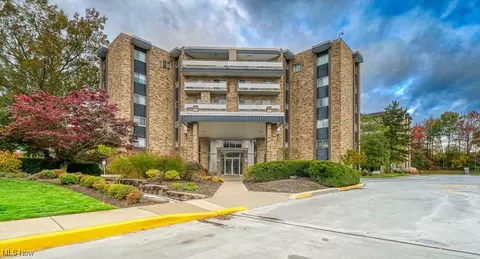 2112 Acacia Park Dr #319, Lyndhurst, OH 44124