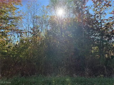 Pearl Avenue, Lorain, OH 44055