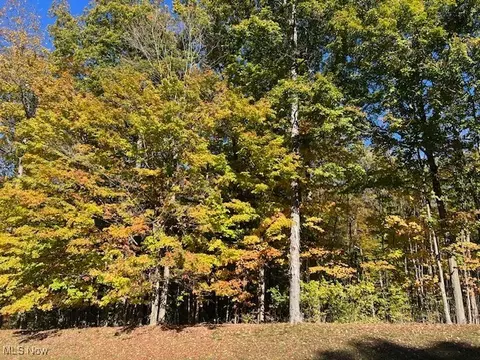 Reserve Drive, Medina, OH 44256