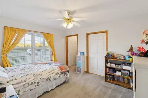 3203 Merchants Ave, Ashtabula, OH 44004 photo 30