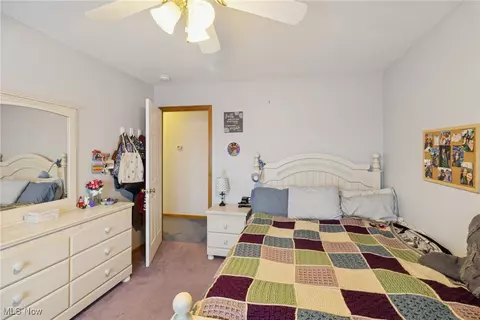 3203 Merchants Ave, Ashtabula, OH 44004 photo 19