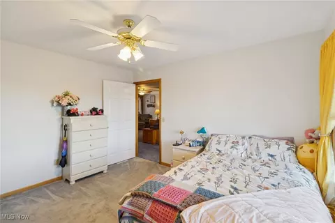 3203 Merchants Ave, Ashtabula, OH 44004 photo 28