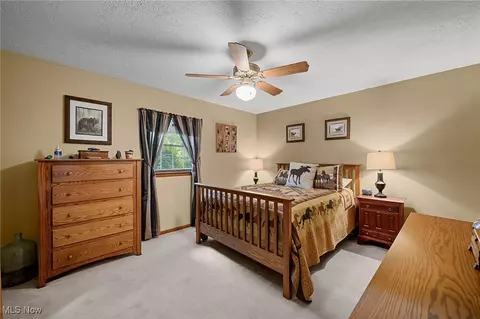 40725 Biggs Rd, Lagrange, OH 44050 photo 26