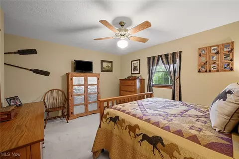 40725 Biggs Rd, Lagrange, OH 44050 photo 29
