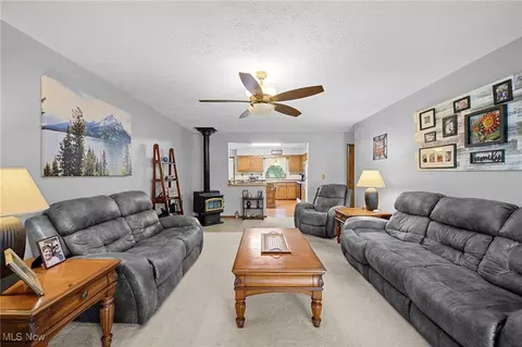40725 Biggs Rd, Lagrange, OH 44050 photo 3