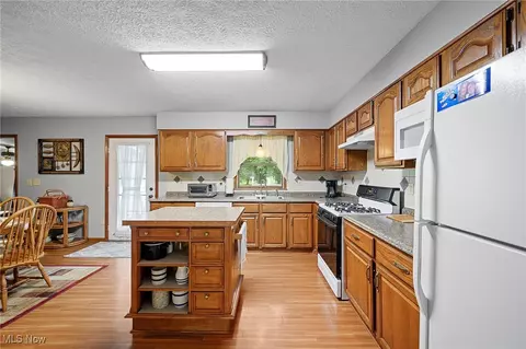 40725 Biggs Rd, Lagrange, OH 44050 photo 6