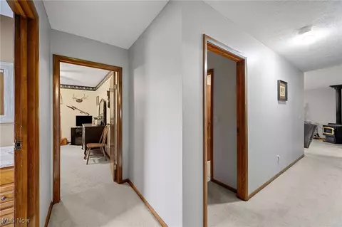 40725 Biggs Rd, Lagrange, OH 44050 photo 25
