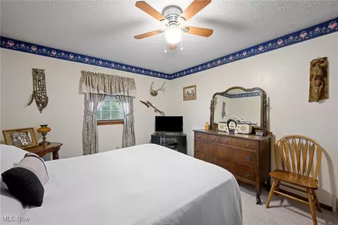 40725 Biggs Rd, Lagrange, OH 44050 photo 23
