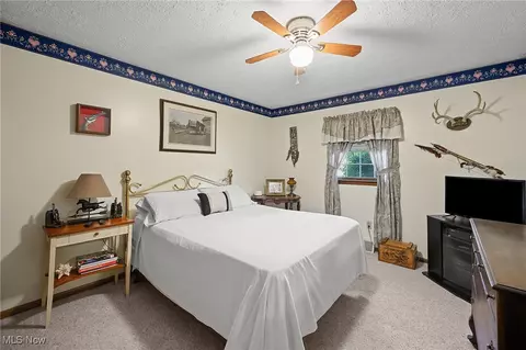40725 Biggs Rd, Lagrange, OH 44050 photo 22