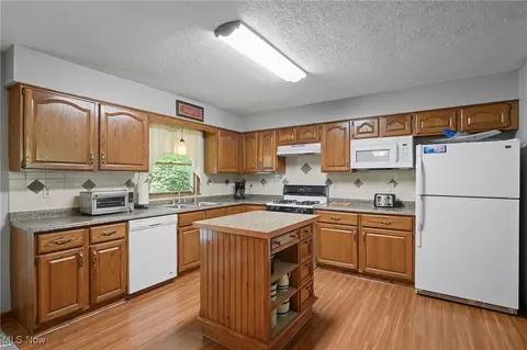40725 Biggs Rd, Lagrange, OH 44050 photo 8
