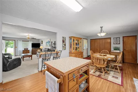 40725 Biggs Rd, Lagrange, OH 44050 photo 7