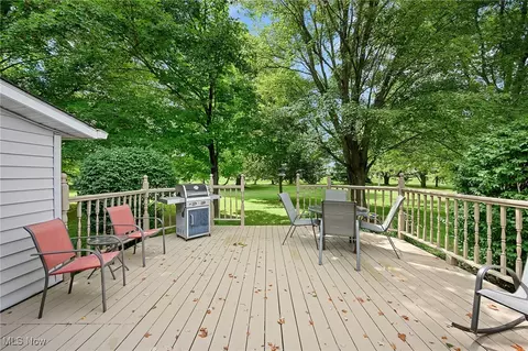 40725 Biggs Rd, Lagrange, OH 44050 photo 40