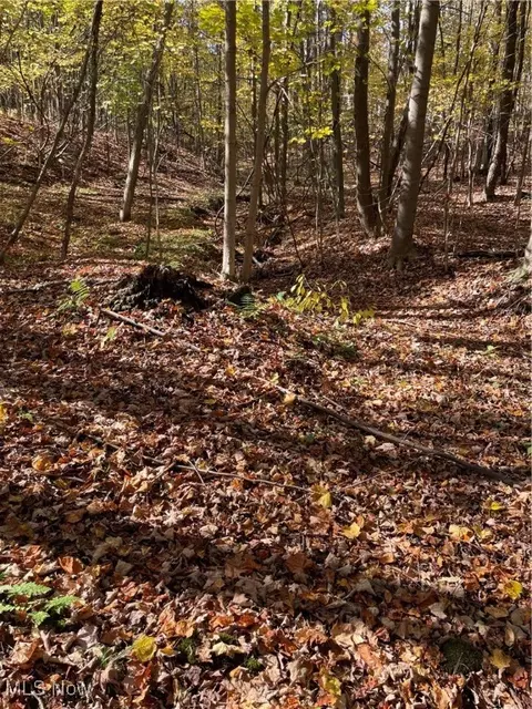 S/l 5 Big Creek Ridge Dr. Ridge, Chardon, OH 44024