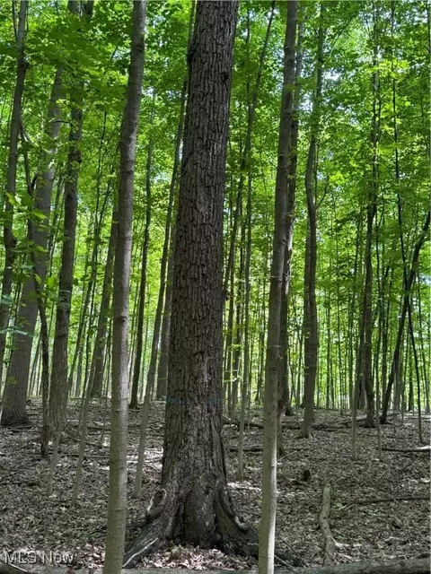 V/l Leroy Center Road, Leroy, OH 44077