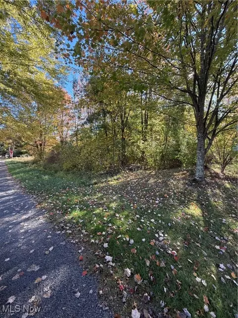 Walnut Street, Andover, OH 44003