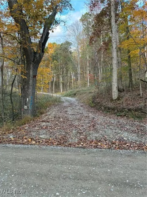 4277 Twin Sisters Rd, Cambridge, OH 43725