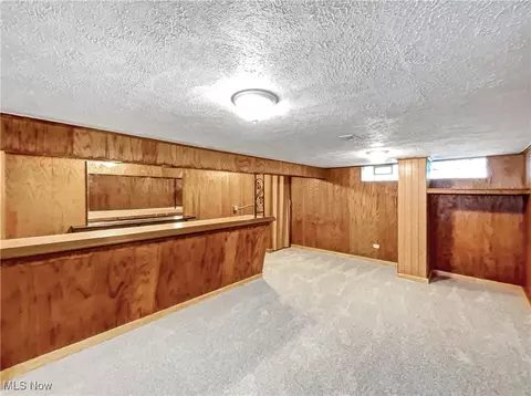 24451 Devoe Ave, Euclid, OH 44123 photo 17
