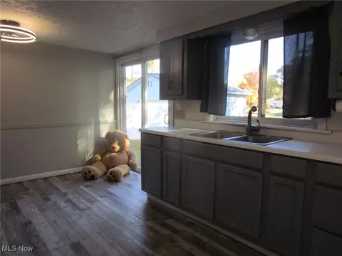710 Myrtle Ave, Ashtabula, OH 44004 photo 26