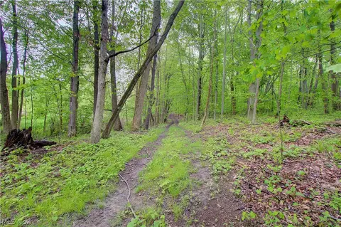 Other - 3637 Old Forge Rd, Rootstown, OH 44272 photo 7 of 15