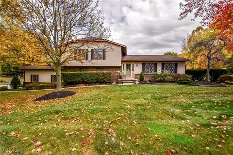 7741 Mountain Ash Dr, Concord, OH 44060