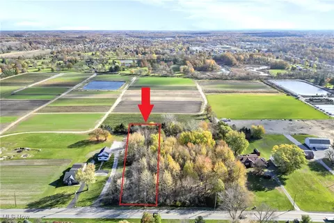 Center Road, Avon, OH 44011