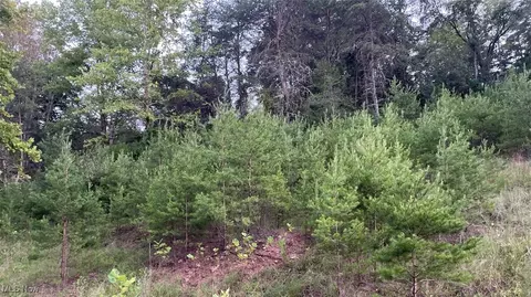 210 Farrow Hill Rd, Davisville, WV 26142