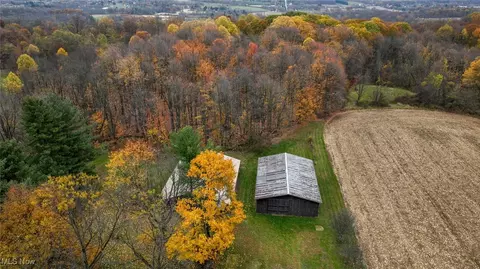 Other - 8025 Yoder Rd, Seville, OH 44273 photo 11 of 14