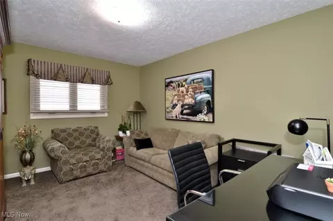5123 Cheswick Dr, Solon, OH 44139 photo 19