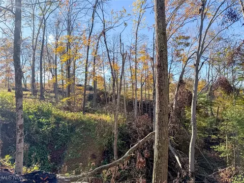 Schmeltzer Rd, Bremen, OH 43111 photo 9