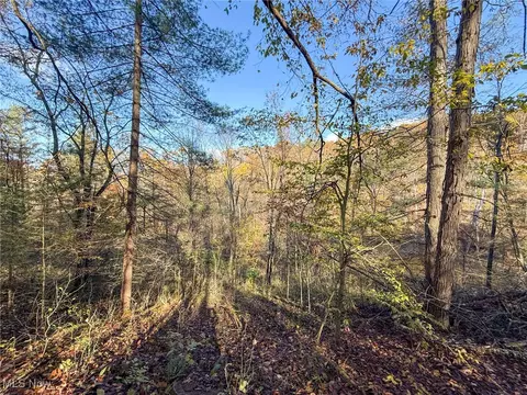 Schmeltzer Rd, Bremen, OH 43111 photo 18